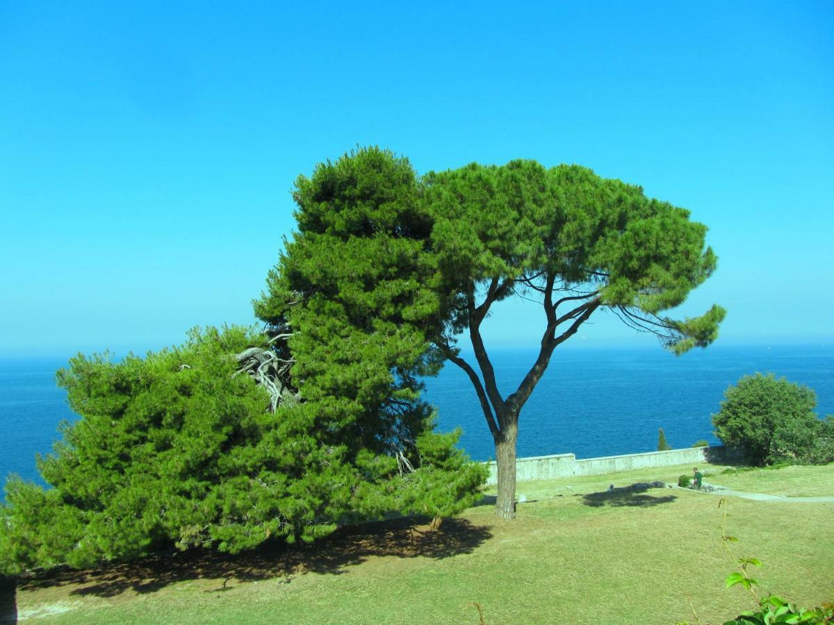 Apartment Beba Rovinj Dış mekan fotoğraf